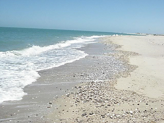http://i213.photobucket.com/albums/cc212/DavidKier/513%20Shell%20Island/513ShellIsland004.jpg