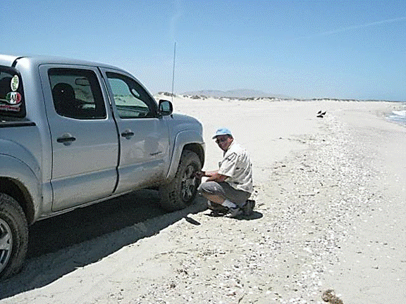 http://i213.photobucket.com/albums/cc212/DavidKier/513%20Shell%20Island/513ShellIsland009.jpg