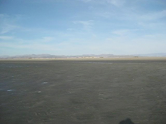 http://i213.photobucket.com/albums/cc212/DavidKier/513%20Shell%20Island/513ShellIsland049.jpg
