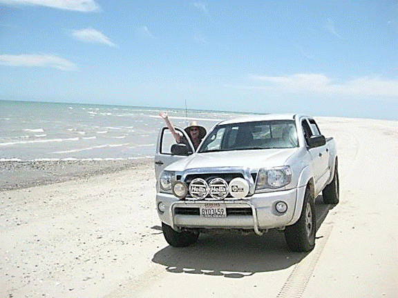 http://i213.photobucket.com/albums/cc212/DavidKier/513%20Shell%20Island/513ShellIsland056.jpg