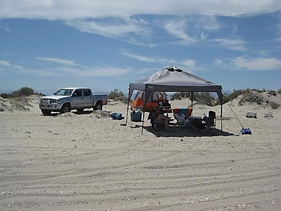 http://i213.photobucket.com/albums/cc212/DavidKier/513%20Shell%20Island/513ShellIsland076.jpg