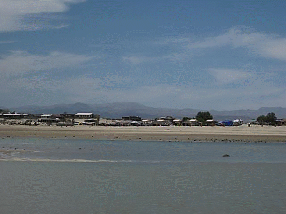 http://i213.photobucket.com/albums/cc212/DavidKier/513%20Shell%20Island/513ShellIsland072.jpg