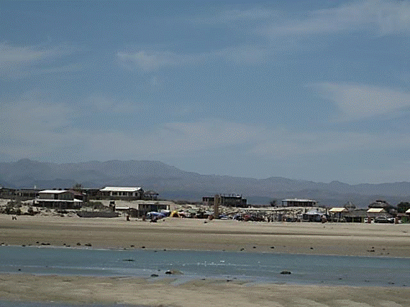 http://i213.photobucket.com/albums/cc212/DavidKier/513%20Shell%20Island/513ShellIsland074.jpg